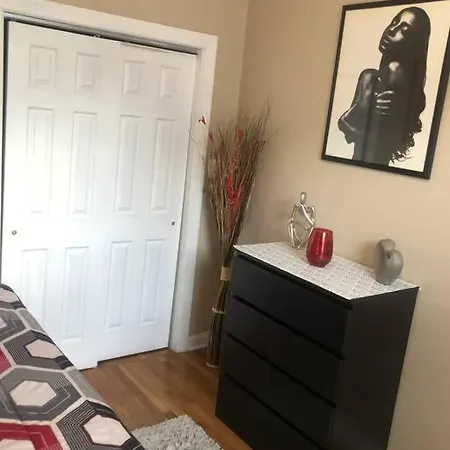 Tones Comfort Near U Of Chgo And 20min Dtwn Chgo Apartment