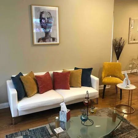 Tones Comfort Near U Of Chgo And 20min Dtwn Chgo Chicago