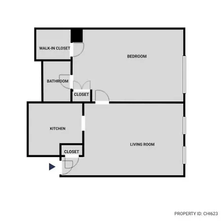 Gold Coast 1br W Gym Roof Nr Mag Mile Chi-623