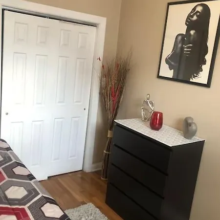 Apartment Tones' Comfort Near U Of Chgo 20min Dtwn Chgo Chicago