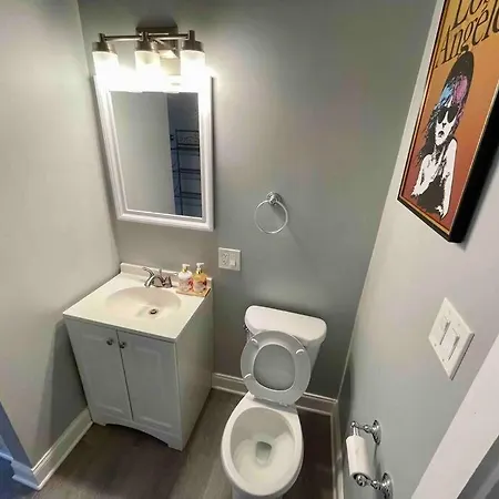 Cozy Luxury Apt~ Near Uchicago/hydepark/lakeshore Chicago