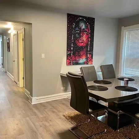 Cozy Luxury Apt~ Near Uchicago/hydepark/lakeshore Chicago