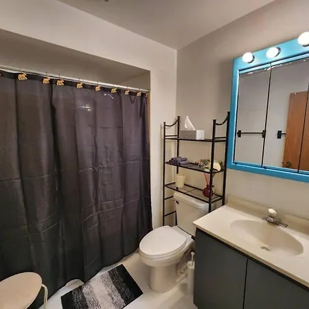 Retro 2 Bedroom 6 Mins To United Center With Parking Apartment