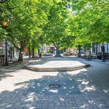 Apartment Duplex 3 Bed 2 Bat Steps From Lincoln Square Chicago