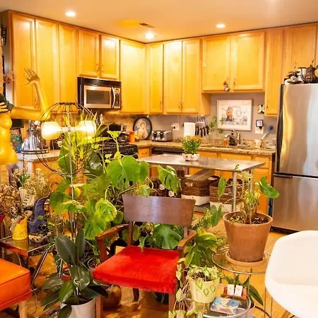 Apartment Sunny Character-filled In Trendy Ukrainian Village Chicago