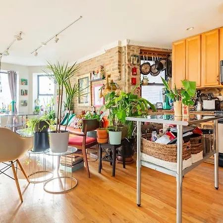 Apartment Sunny Character-filled In Trendy Ukrainian Village