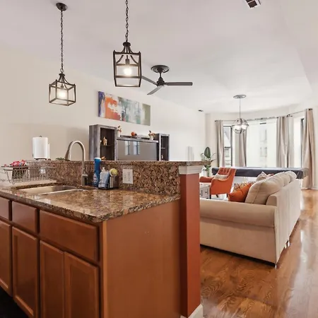 Near Downtown & Uchicago Apartment