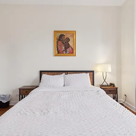 Near Downtown & Uchicago Apartment Chicago