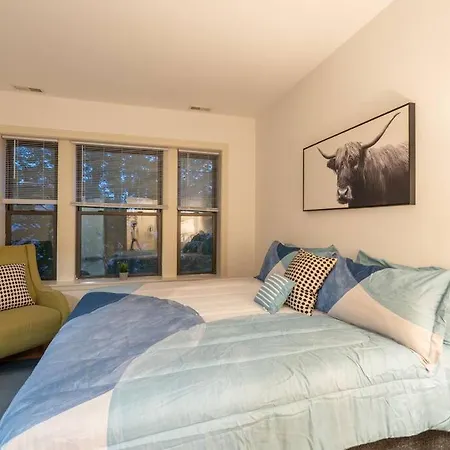 Apartment 3br Prime Hyde Park Location Near Uchicago And Dining