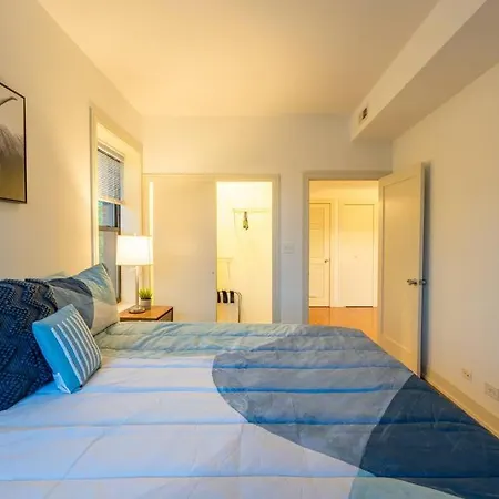 Apartment 3br Prime Hyde Park Location Near Uchicago And Dining Chicago