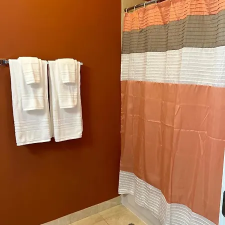 Gorgeous North Kenwood Hyde Park Unit Apartment Chicago