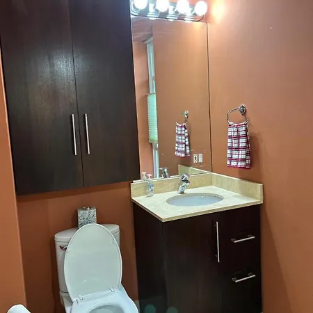 Gorgeous North Kenwood Hyde Park Unit Apartment Chicago