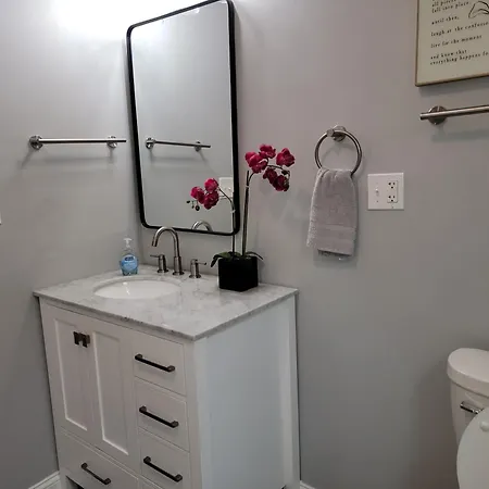 Beautiful Big 3 Bedroom Quiet Near Downtown