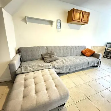 Large Single Family 7 Bedrooms Chicago