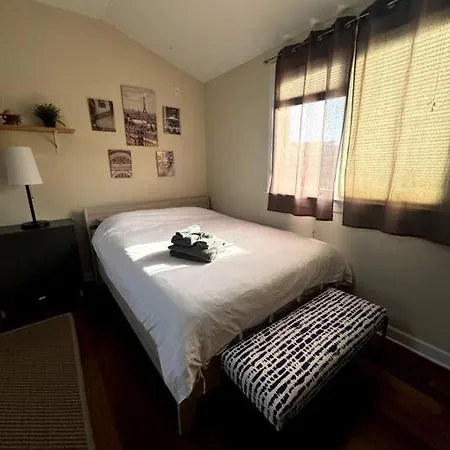Spacious Studio Unit In Wicker Park Apartment
