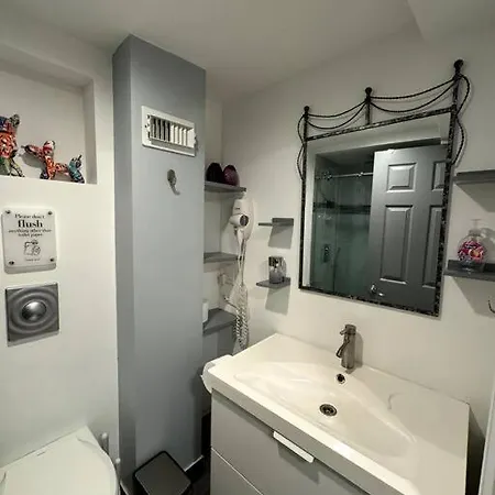 Apartment Unique Charm Lincoln Park *