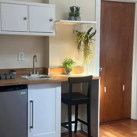 Apartment Spacious Studio Unit In Wicker Park Chicago
