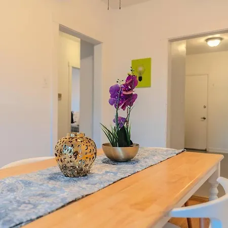Apartment Hyde Park Chic 1br Prime Location Near Uchicago