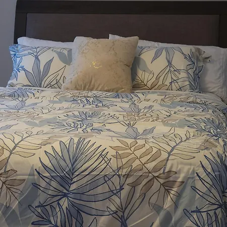 Beautiful Big 3 Bedroom Quiet Near Downtown
