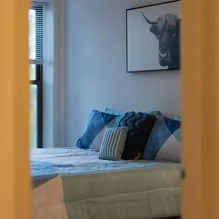 Apartment 3br Prime Hyde Park Location Near Uchicago And Dining *