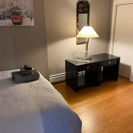 Apartment Spacious 1-bedroom Unit In Lincoln Park Chicago