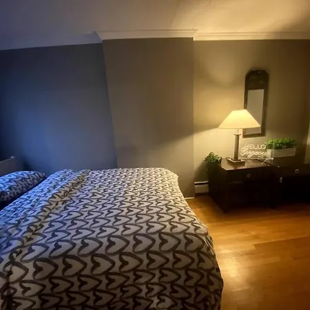 Spacious 1-bedroom Unit In Lincoln Park Apartment Chicago