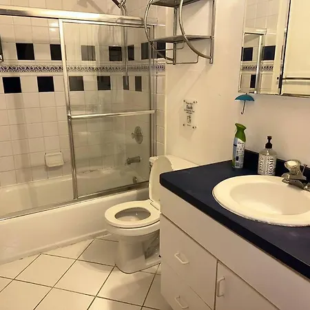 3br 2ba Apt Uic Rush Medical Private Parking * Chicago