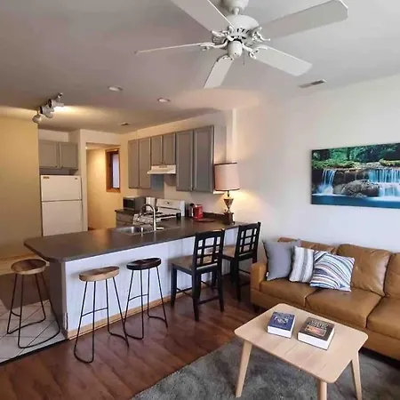 3br 2ba Apt Uic Rush Medical Private Parking * Chicago