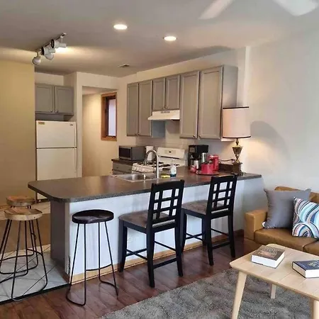 Apartment 3br 2ba Apt Uic Rush Medical Private Parking *