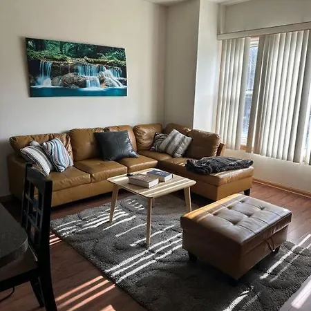 Apartment 3br 2ba Apt Uic Rush Medical Private Parking