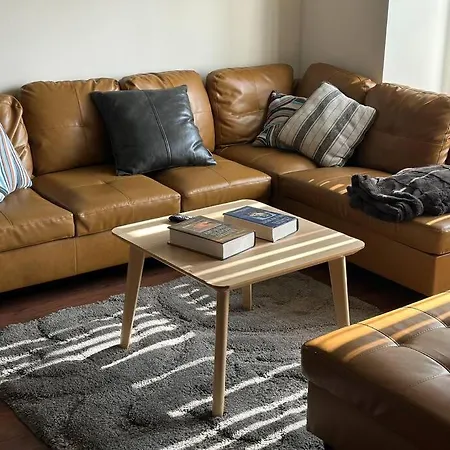 3br 2ba Apt Uic Rush Medical Private Parking Apartment *