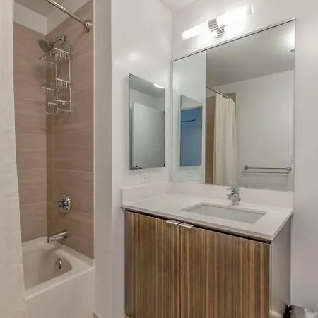 Apartment Loop Jr 1br W Game Nr Park Riverwalk Chi-1013