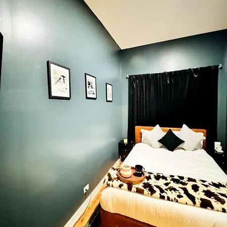 Chic Safari Haven - 2 Bd\2 Ba - Sleeps 8 Apartment *