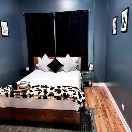 Chic Safari Haven - 2 Bd\2 Ba - Sleeps 8 Apartment *