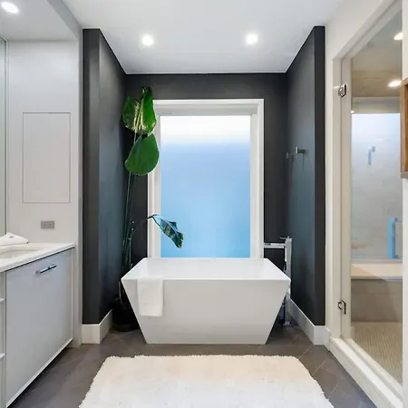 Stunning 5br In Heart Of With 2 Rooftops Chicago