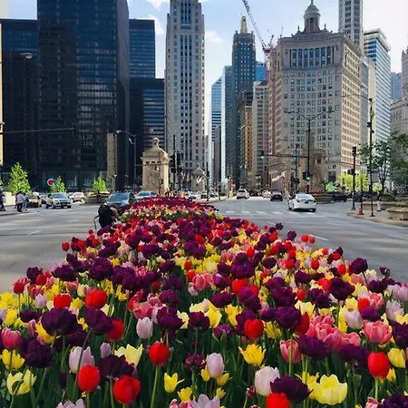 Entire In Heart Of Lincoln Park & Sea And Chicago