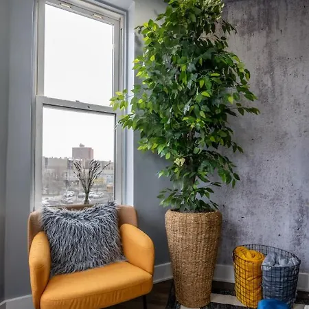 Cute And Cozy Modern Chicago
