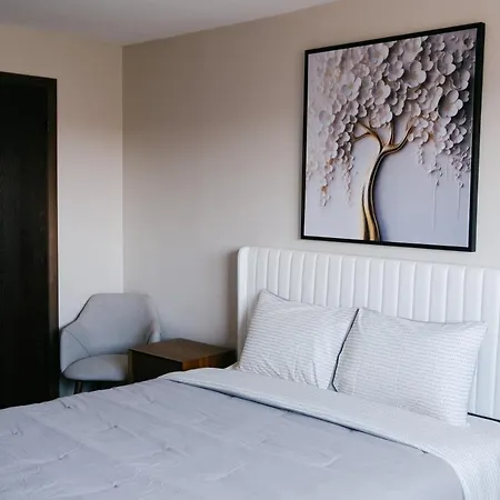 Personal Gym Luxury Balcony Holiday home Chicago
