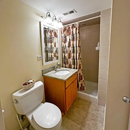 Spacious And Modern 3bd 2ba Home- Garage Parking! Apartment Chicago