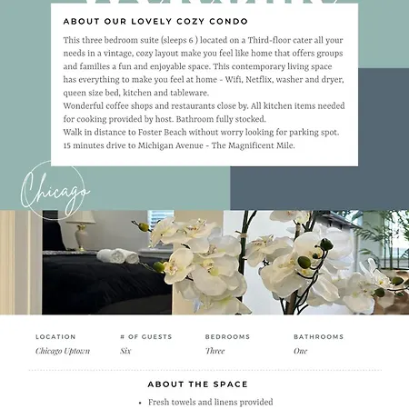 Comfy Flat By Foster Beach Downtown Uptown
