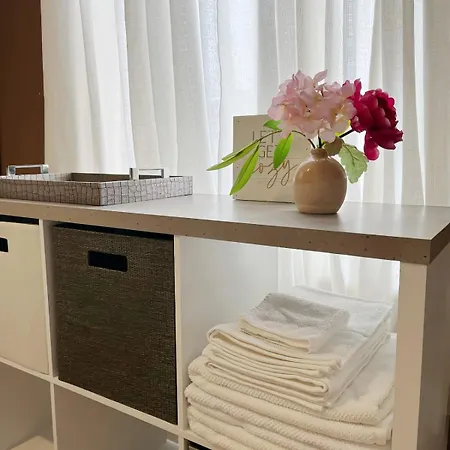 Comfy Flat By Foster Beach Downtown Uptown Apartment Chicago