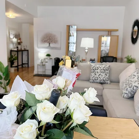Comfy Flat By Foster Beach Downtown Uptown *