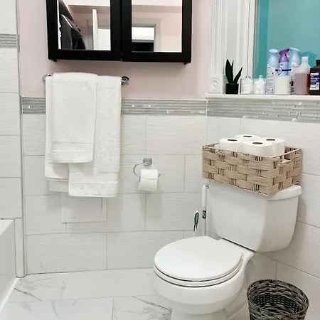 Comfy Flat By Foster Beach Downtown Uptown Apartment Chicago