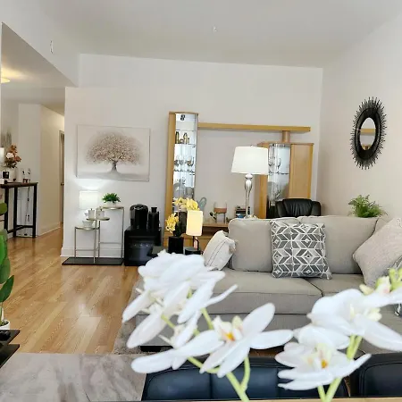 Apartment Comfy Flat By Foster Beach Downtown Uptown *