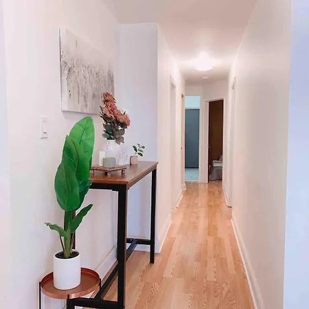 Comfy Flat By Foster Beach Downtown Uptown *