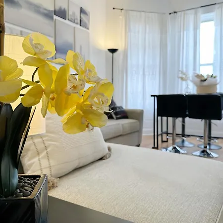 Comfy Flat By Foster Beach Downtown Uptown *