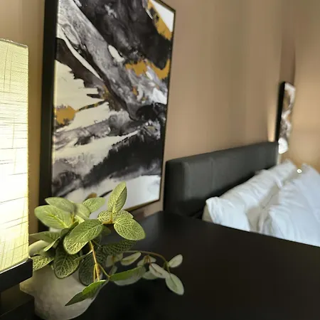 Comfy Flat By Foster Beach Downtown Uptown