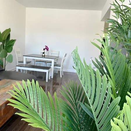 Comfy Flat By Foster Beach Uptown Downtown * Chicago