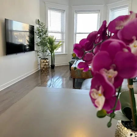 Comfy Flat By Foster Beach Uptown Downtown Apartment
