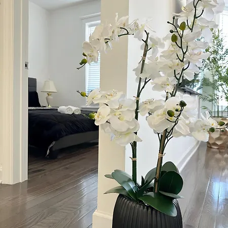 Comfy Flat By Foster Beach Uptown Downtown Apartment Chicago